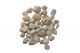 EOS - White River Rock #5